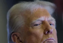 Trump 2.0: Confident, Organized, and Ready to Reshape America Donald Trump aboard Air Force One during his first trip of his second term." Keywords: Donald Trump, Air Force One, Trump second term.