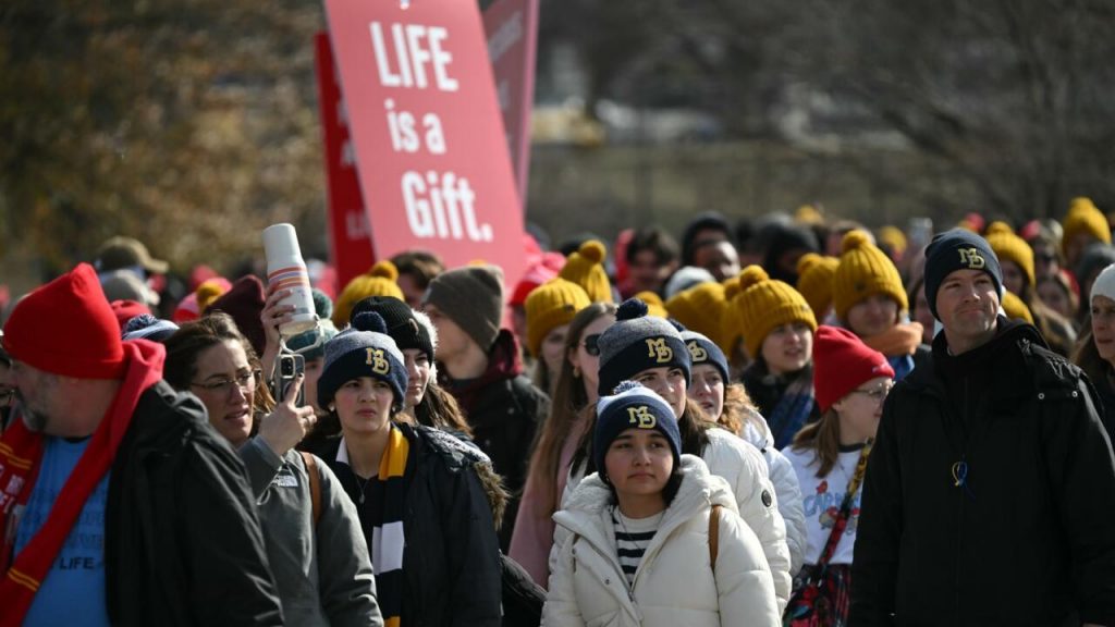 Protesters gathered at an anti-abortion rally holding signs.