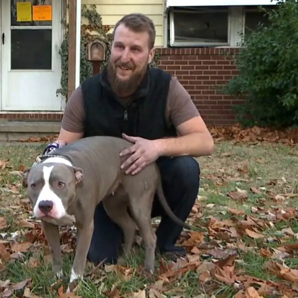 A heroic dog receiving praise for saving its owner from a house fire.